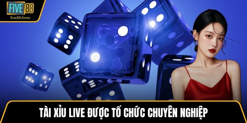 Tài xỉu live được tổ chức chuyên nghiệp